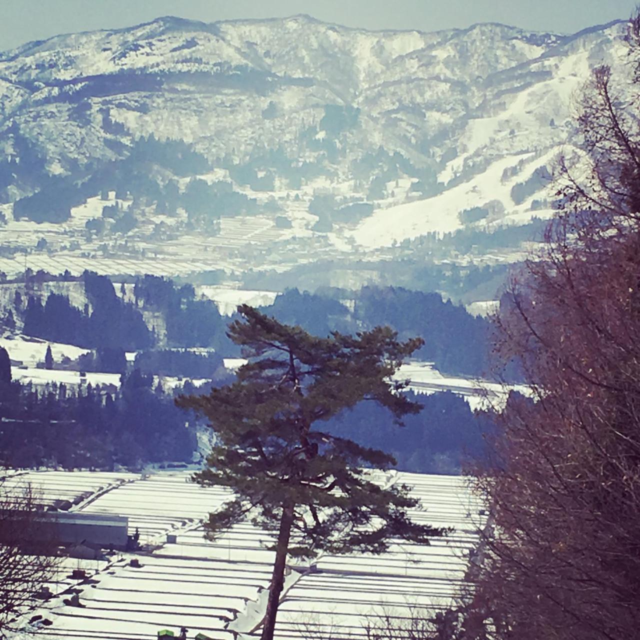 Lodge Onsen Basecamp *