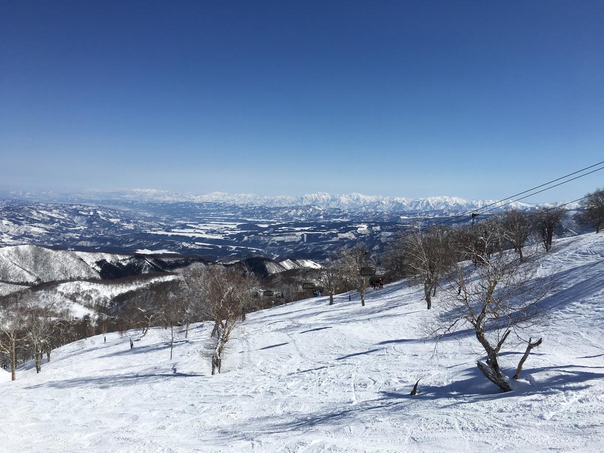 Onsen Basecamp Lodge *