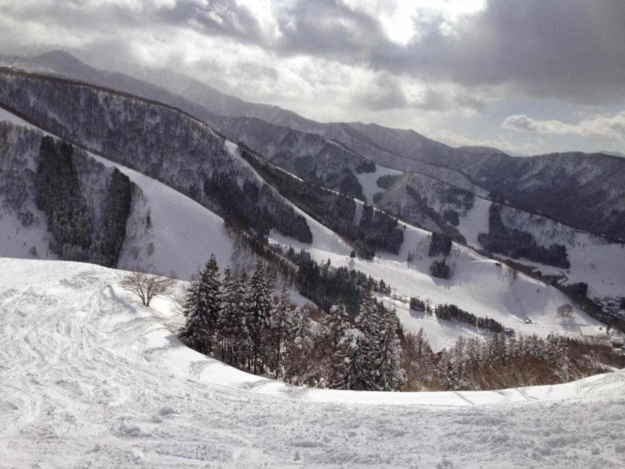 Onsen Basecamp Lodge *