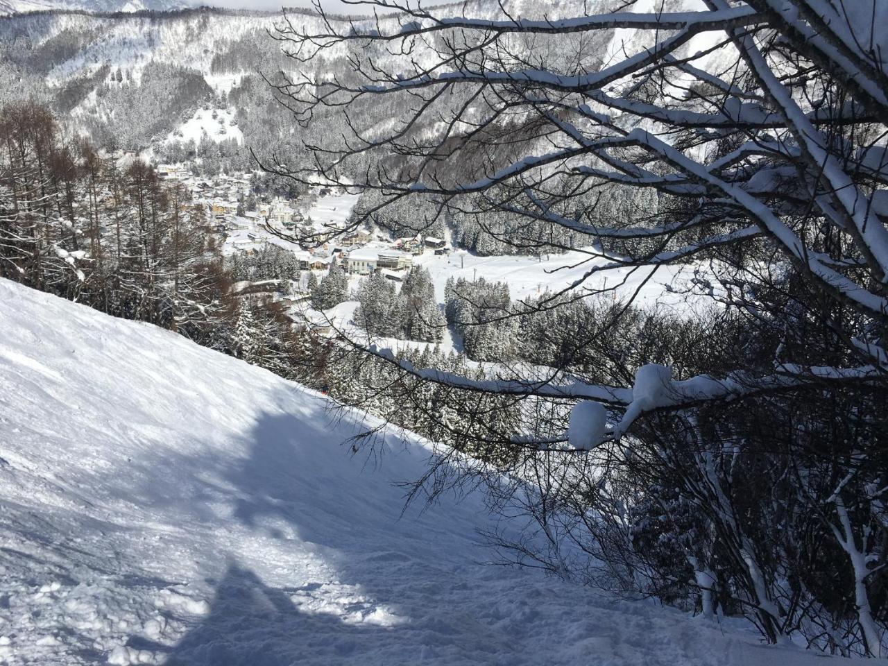 Onsen Basecamp Lodge *