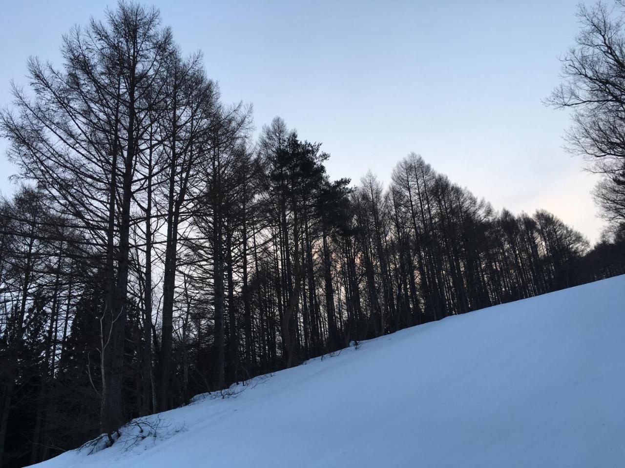 Onsen Basecamp Lodge *